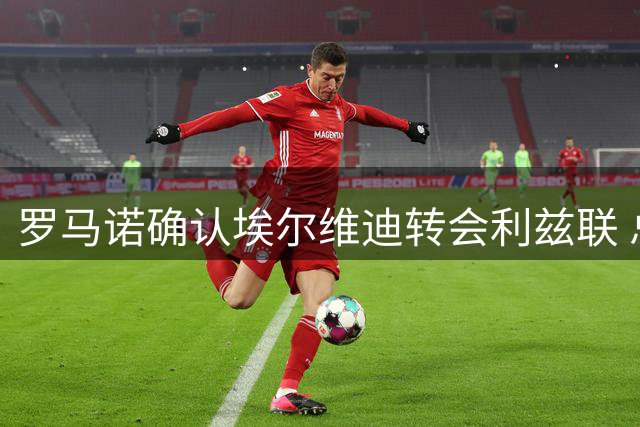 罗马诺确认埃尔维迪转会利兹联 总价超680万英镑